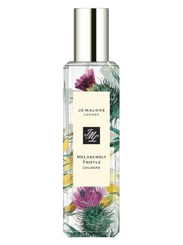 Melancholy Thistle - ملانکولی تیستل