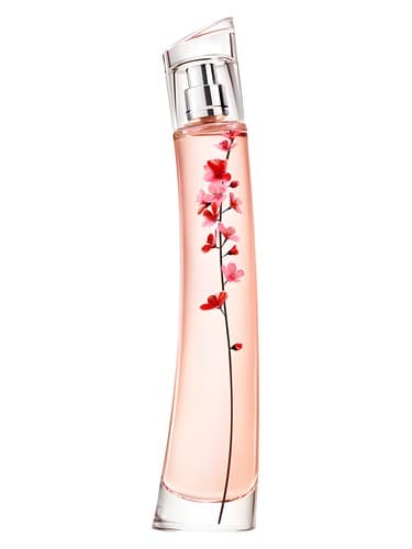 Flower Ikebana Sakura - فلاور ایکبانا ساکورا