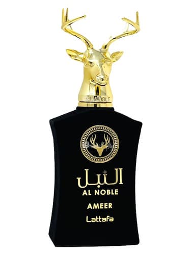 Ameer - امیر