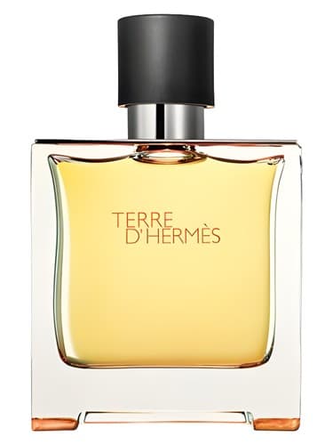 Terre d'Hermes Parfum - تق دی هرمس پارفوم