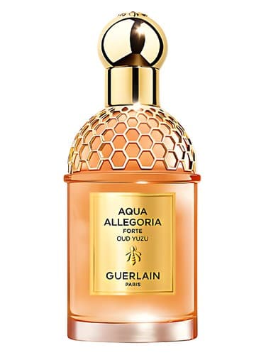 Aqua Allegoria Forte Oud Yuzu - آکوا آلگوریا فورته عود یوزو