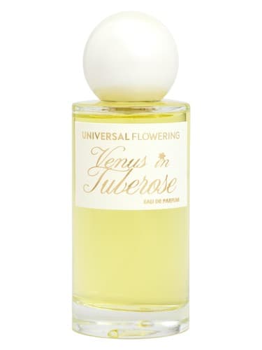 Venus in Tuberose - ونوس این توبروز