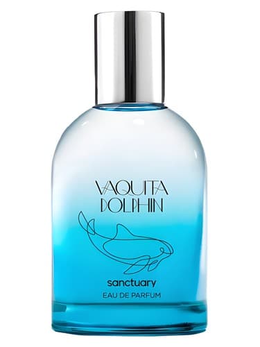 Vaquita Dolphin
