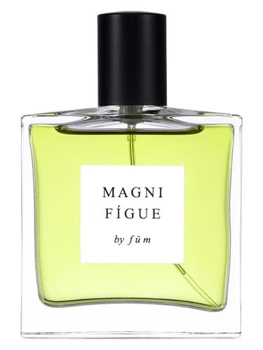 Magnifígue - بزرگنمایی