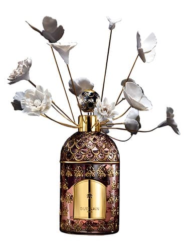 Bee Garden - بی گاردن