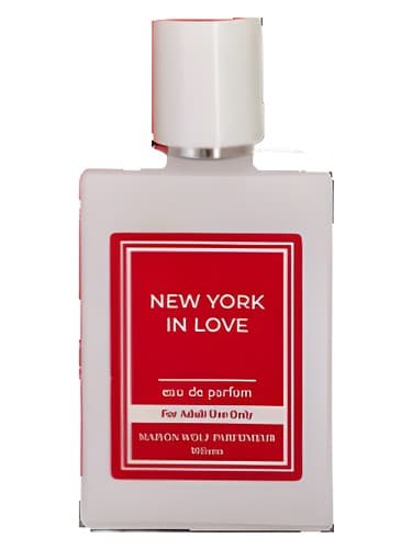 New York in Love - نیویورک عاشق