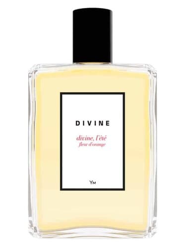 Divine, l'été fleur d'orange