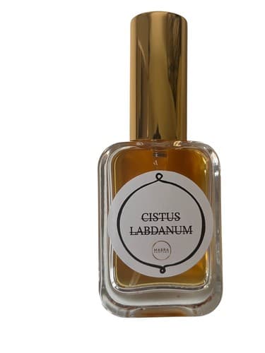 Cistus Labdanum - سیستوس لبدانوم