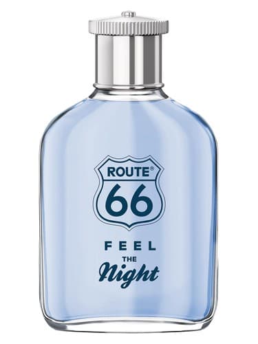 Feel The Night - نایت را احساس کن