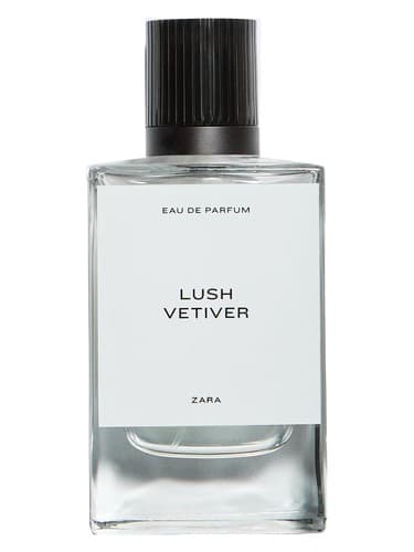 Lush Vetiver - لاش وتیور