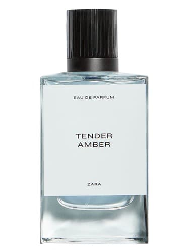 Tender Amber - تندر امبر