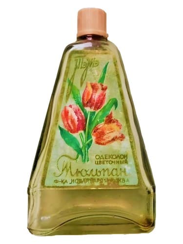 Тюльпан