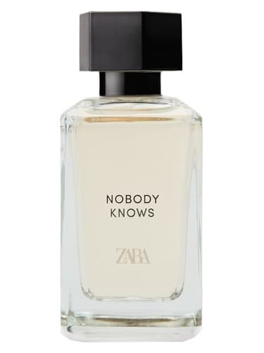 Nobody Knows (Into The Woods) - نوبادی نوز (اینتو د وودز)