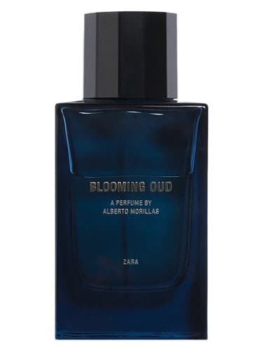 Blooming Oud - بلومینگ عود