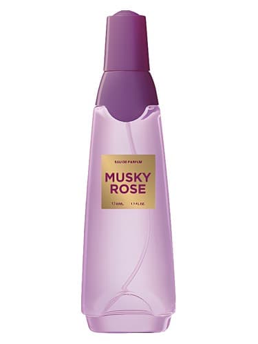 Musky Rose - رز ماسکی