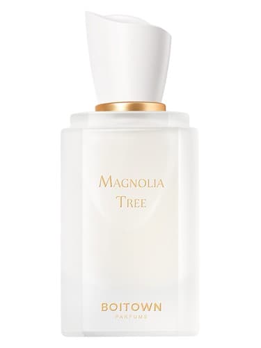 Magnolia Tree 一树玉兰