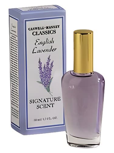 English Lavender Signature Scent - بوی امضای اسطوخودوس انگلیسی