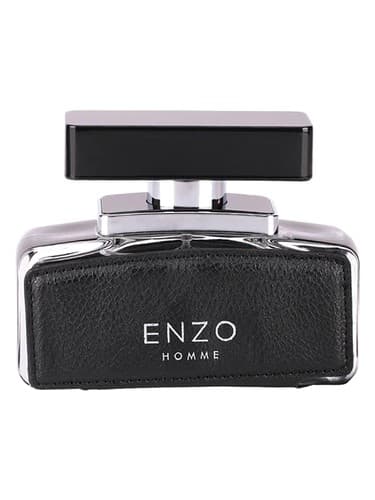 Enzo Homme - انزو هوم