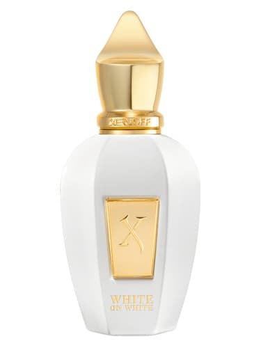 White On White - وایت آن وایت