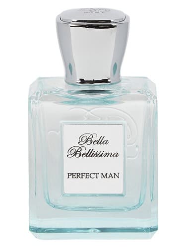 Perfect Man