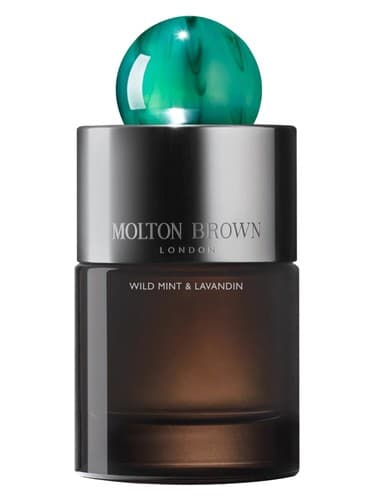Wild Mint & Lavandin - وایلد مینت اند لاواندین