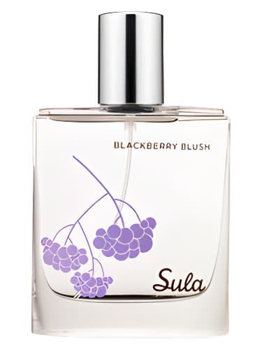 Sula Blackberry Blush - رژگونه سولا بلک بری