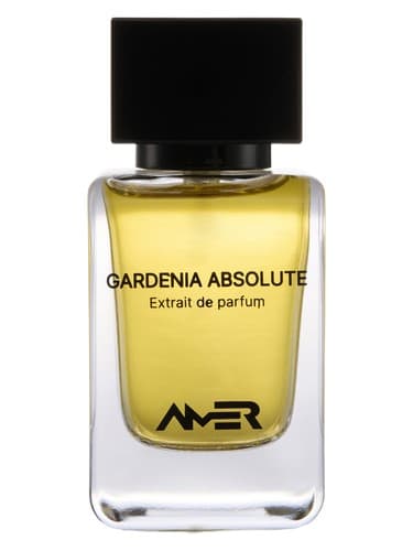 Gardenia Absolute - گاردنیا مطلق