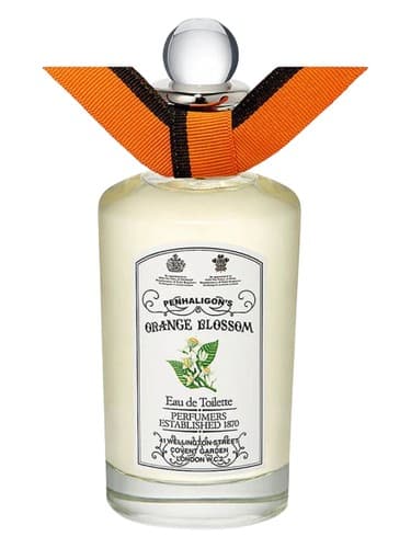 Orange Blossom - اورنج بلاسم