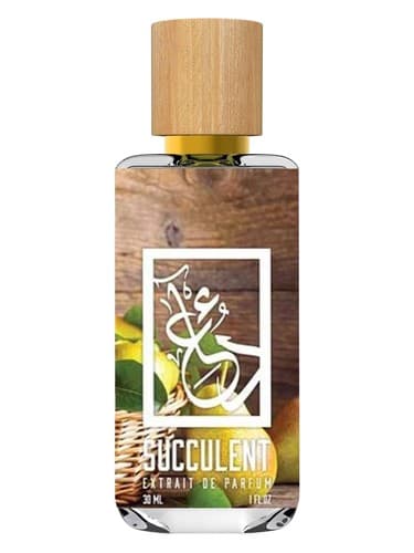 Succulent - ساکولنت