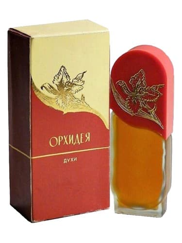 Орхидея - Orchid - Орхидея - ارکیده