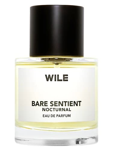 Bare Sentient Nocturnal - بی حس شبانه