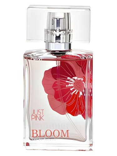 Just Pink Bloom - فقط پینک شکوفه