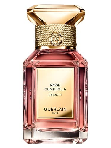 Rose Centifolia Extrait 1 - رز سانتیفولیا اکستریت 1