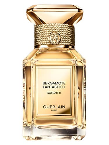 Bergamote Fantastico Extrait 11 - برگاموت فانتستیکو اکستریت 11