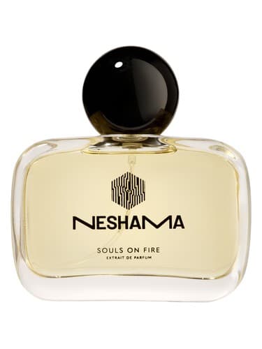 Souls on Fire - ارواح در آتش