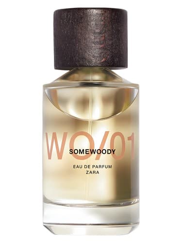 WO/01 Somewoody - دبلیو او 01 سام وودی