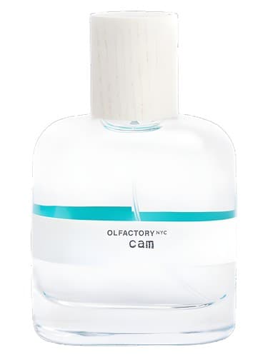 Cam - دوربین