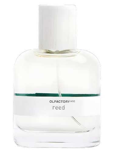 Reed