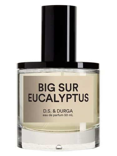 Big Sur Eucalyptus - بیگ سور یوکالیپتوس
