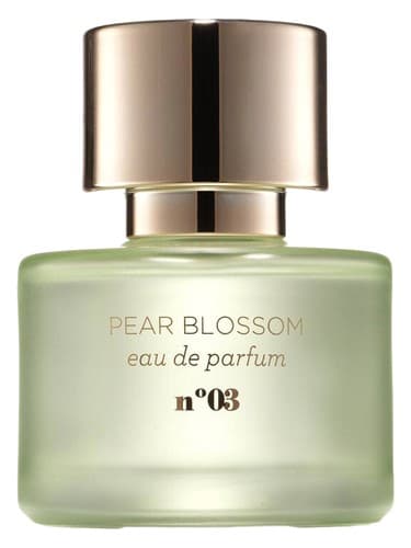 Pear Blossom - پیر بلوسوم