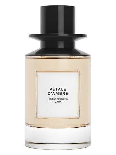 Petale d'Ambre - پتال دامبر
