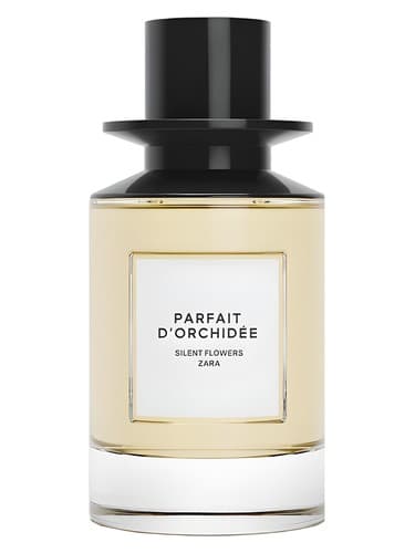 Parfait d'Orchidee - پارفه دورکیده