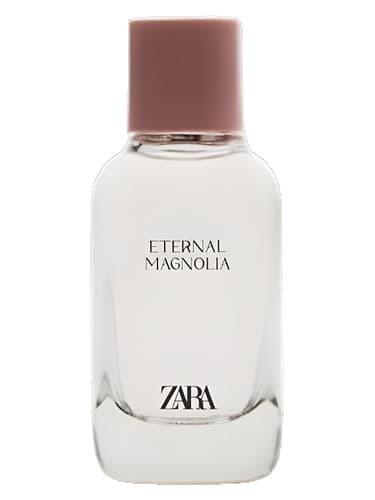 Eternal Magnolia - مگنولیا ابدی
