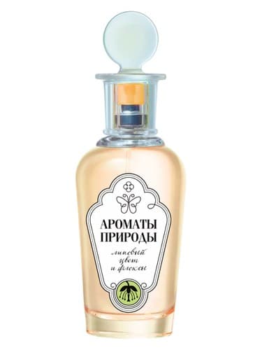 Липовый Цвет и Флоксы - Linden Blossom and Phlox - لیپووی سوت ای فلوکسی لیندن بلوسوم اند فلوکس