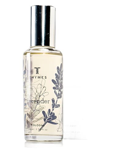 Lavender - اسطوخودوس