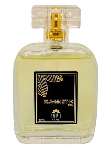 Magnetic - مغناطیسی