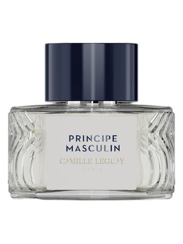 Principe masculin - پرنسیپ مذکر