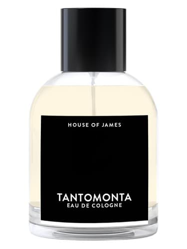 Tantomonta
