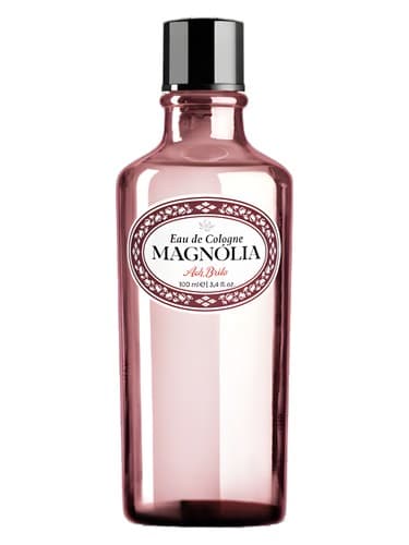Magnolia - مگنولیا