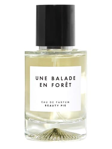 Une Balade En Forêt 